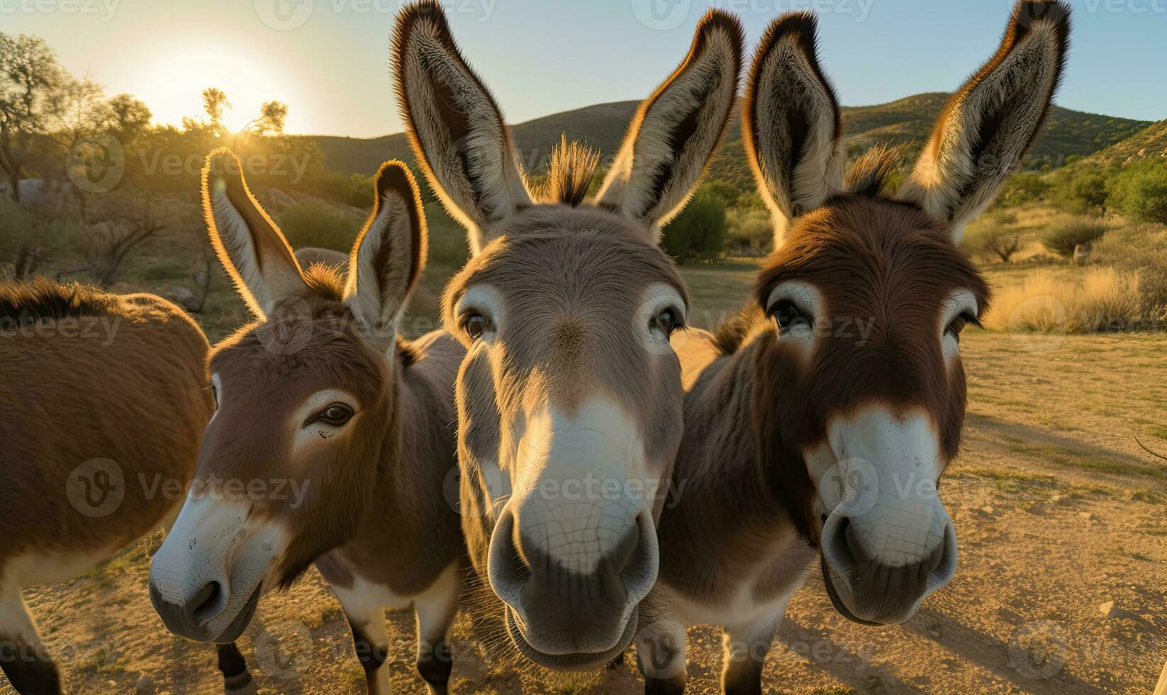 Friendly donkey photobombs a group selfie with a big grin. Creating using generative AI tools photo