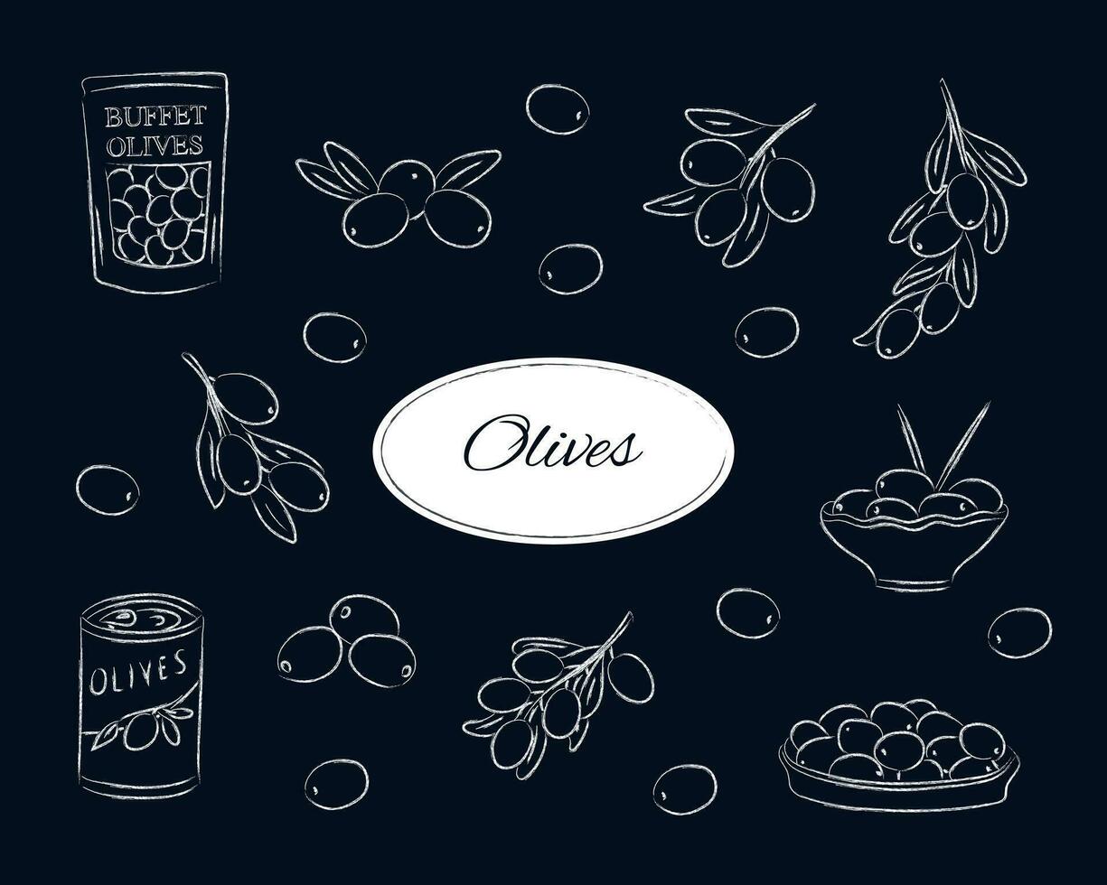 Vector illustration with olive branches, buffet olives, canned olives, and olives on a plate. Isolated vector illustration drawn in chalk.