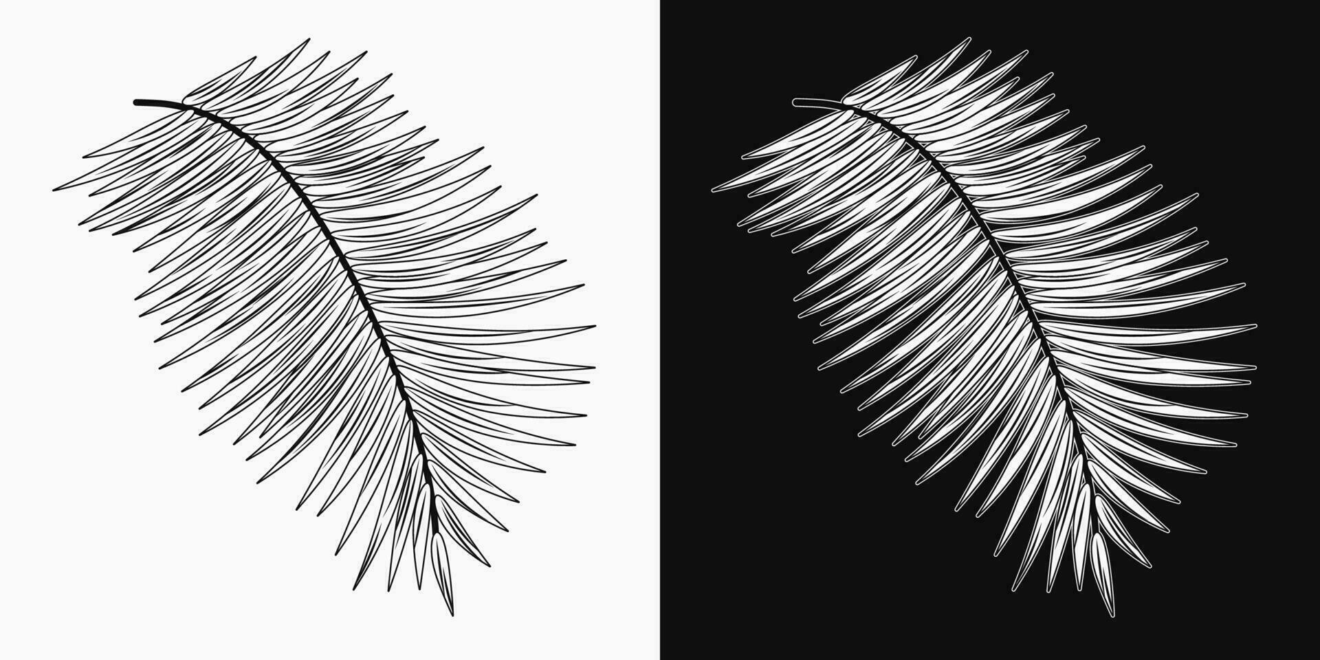 Black and white leaf of coconut palm. vector