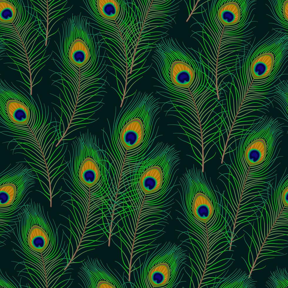 Seamless pattern with peacock feathers on a dark background vector