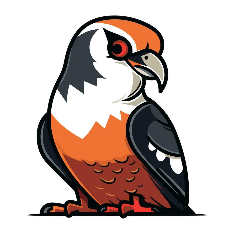 Vector illustration of a red tailed hawk on a white background.