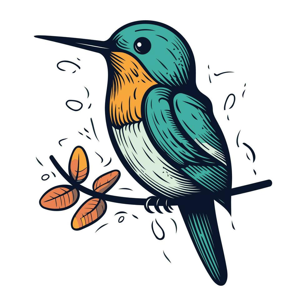 colibrí en un rama. vector ilustración en bosquejo estilo.