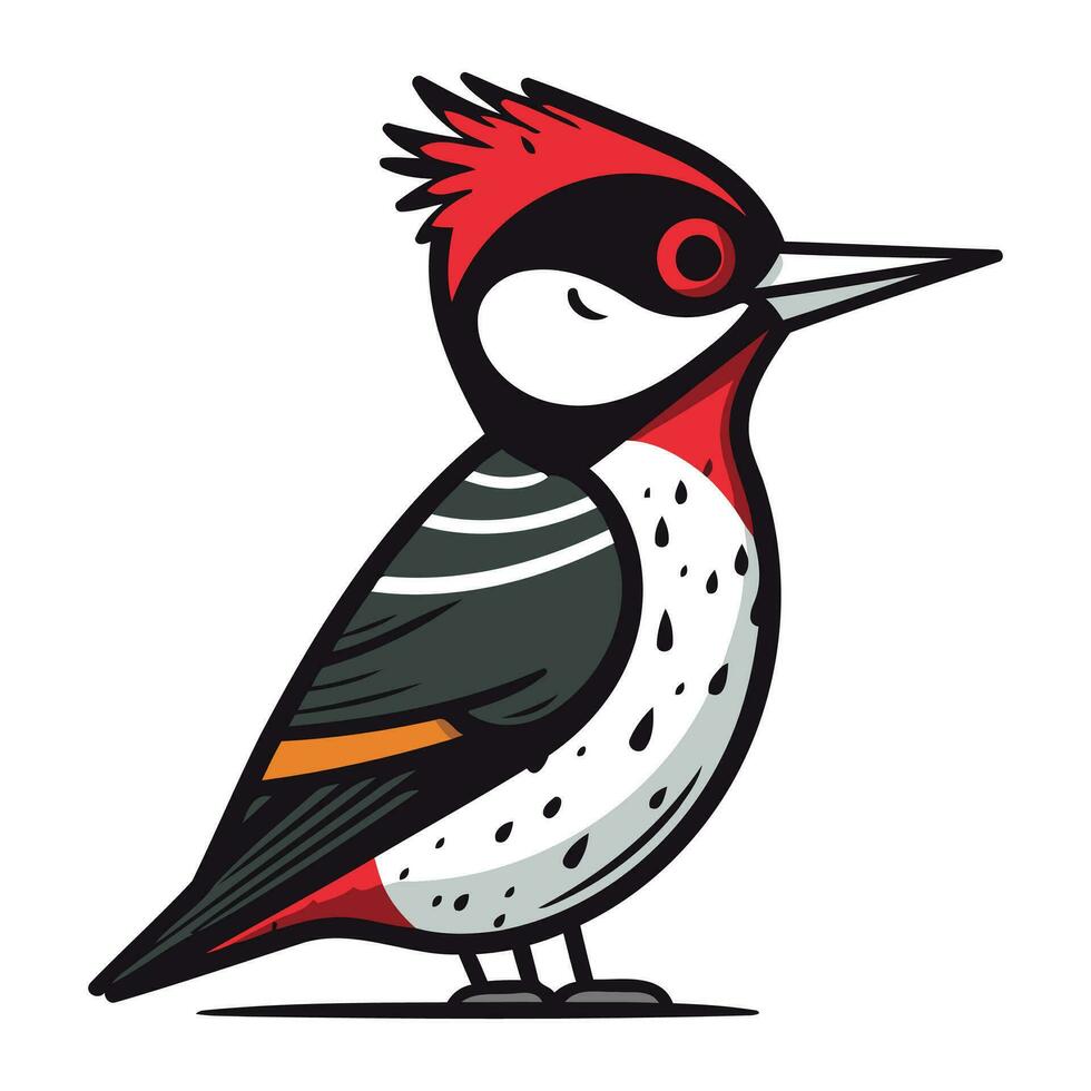 Woodpecker vector illustration. Hand drawn illustration of woodpecker.