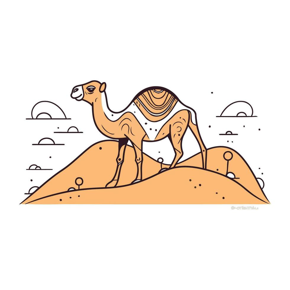 Camel in the desert. Vector illustration in flat linear style.