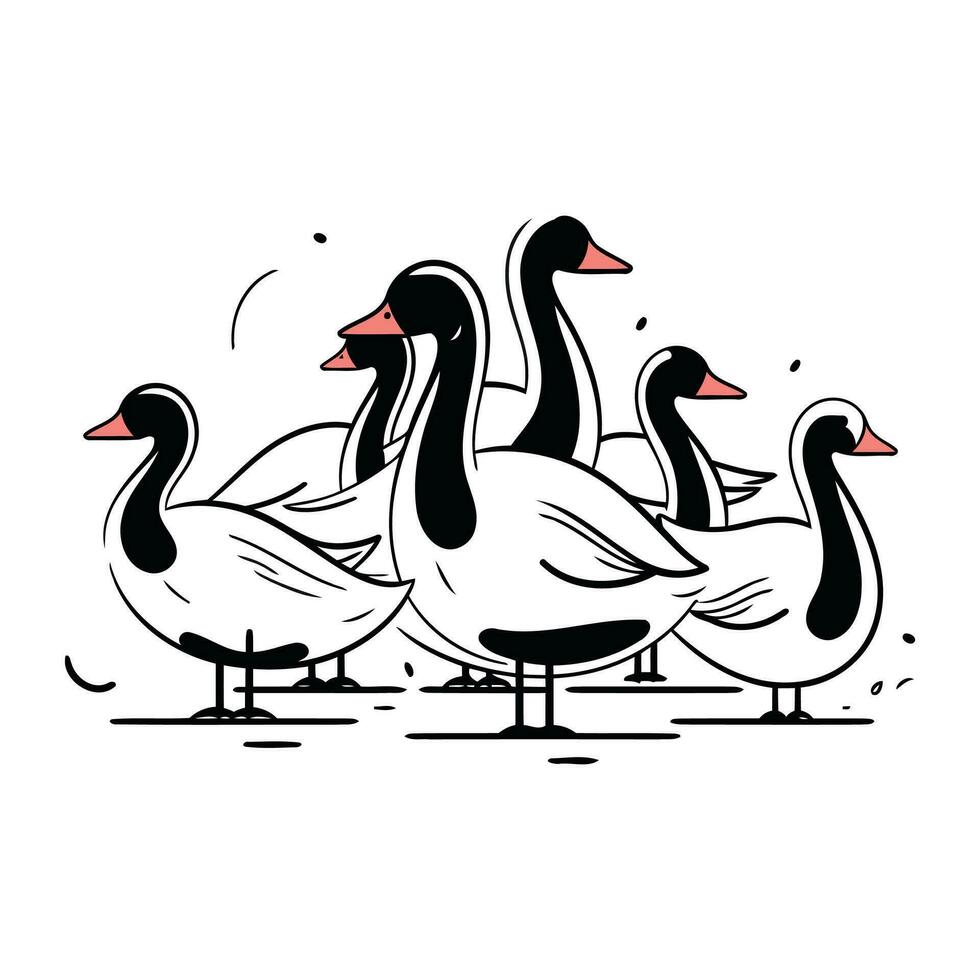 Vector illustration of a flock of geese on a white background.