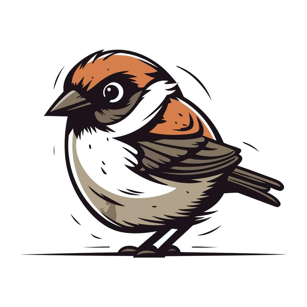 Sparrow vector illustration isolated on white background. Hand drawn sparrow.