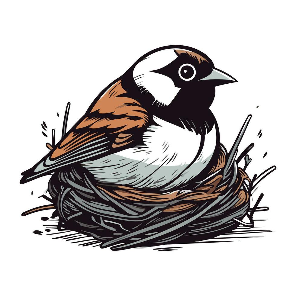 Bird in the nest. Hand drawn vector illustration on white background.