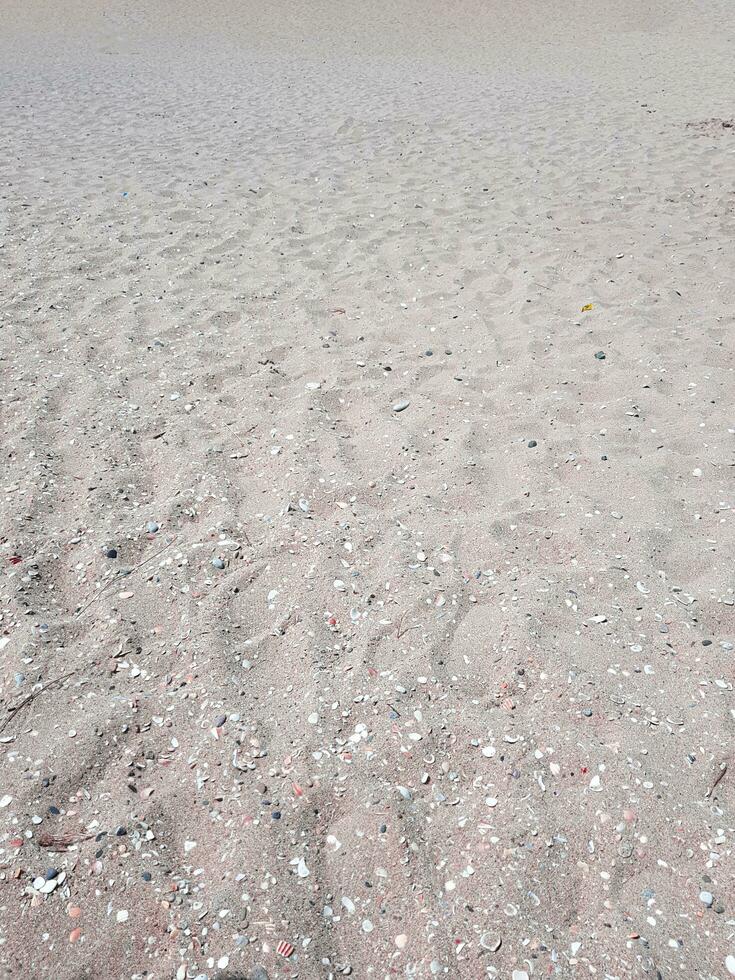 Beach sand in the spring photo