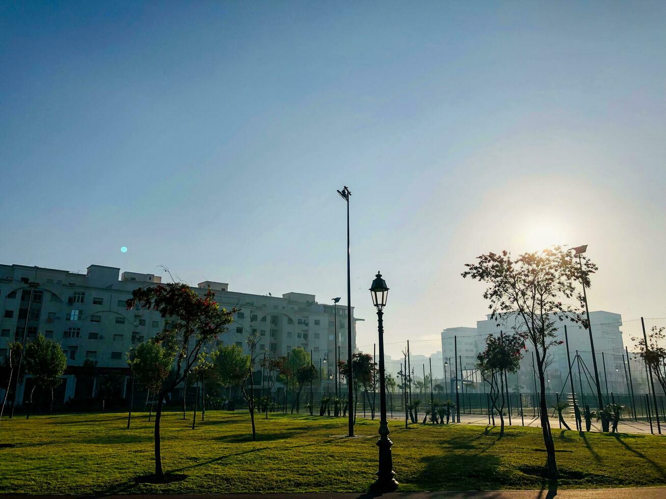 un parque con un herboso zona y un pocos arboles foto