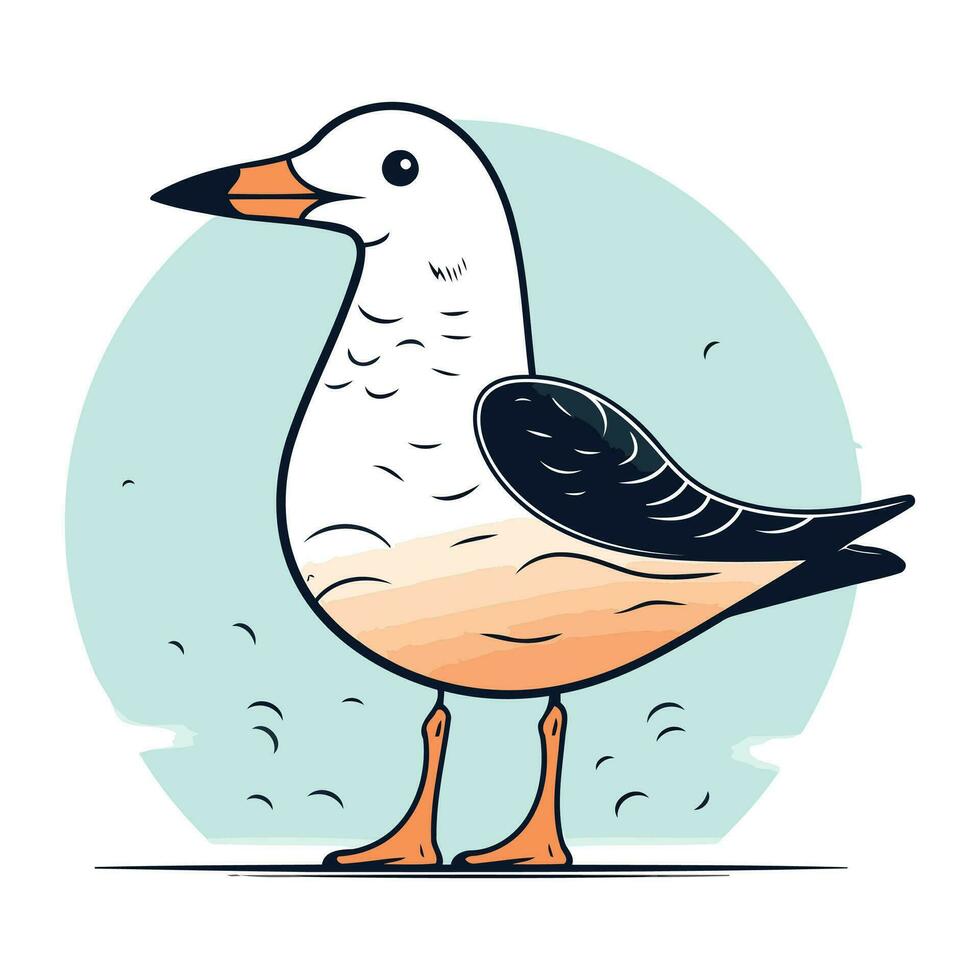 Vector illustration of a seagull standing on a white background.