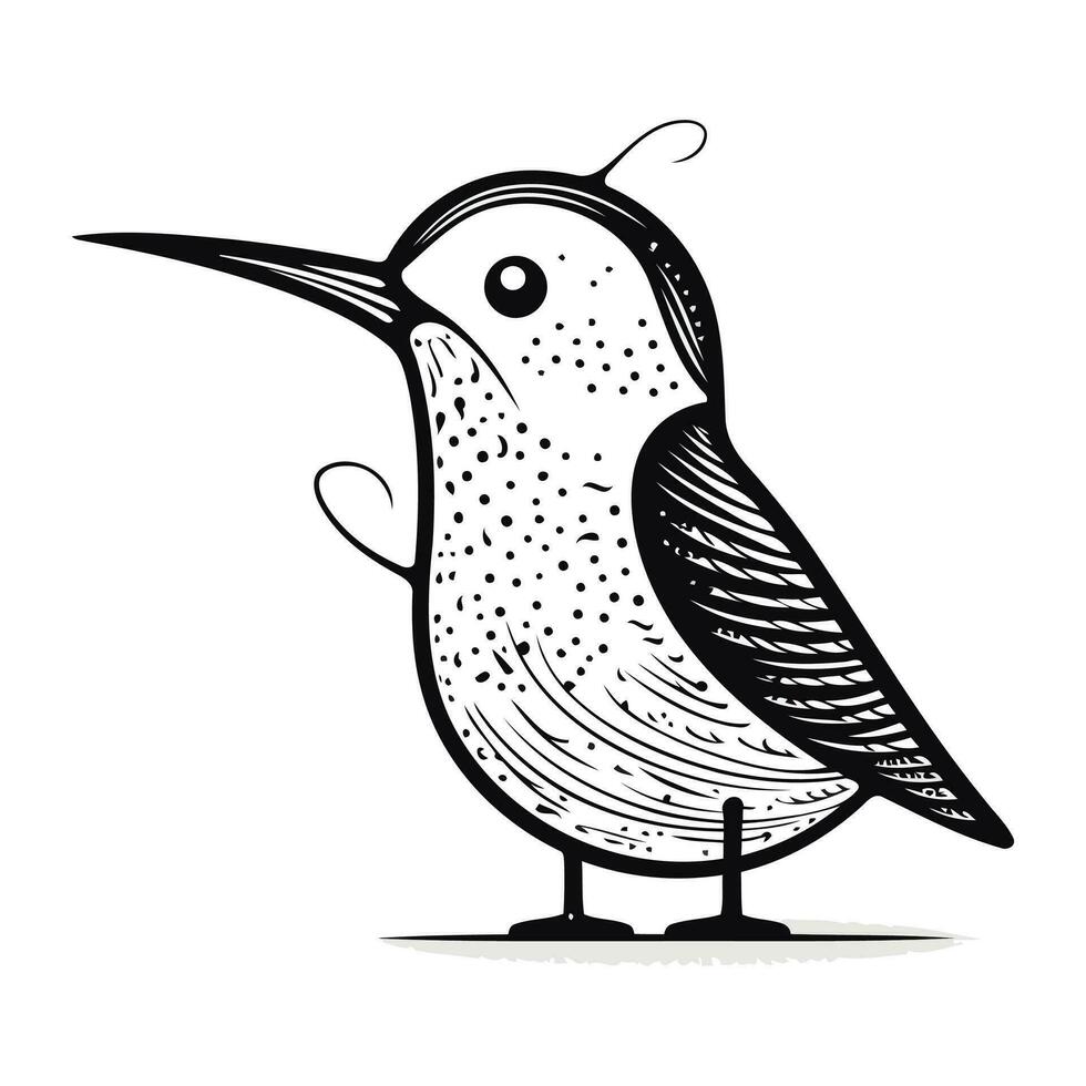 linda pájaro. vector ilustración en negro y blanco. aislado en blanco antecedentes.
