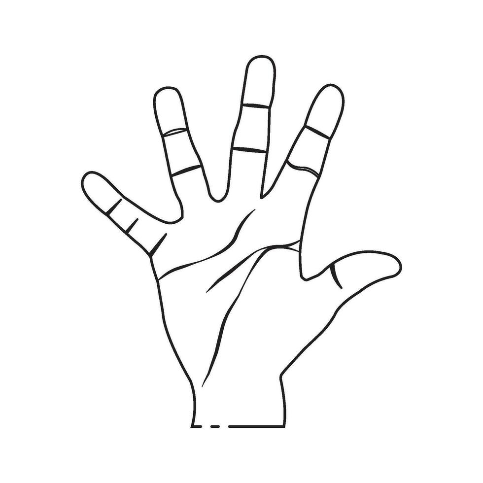 Hand Palm icon vector