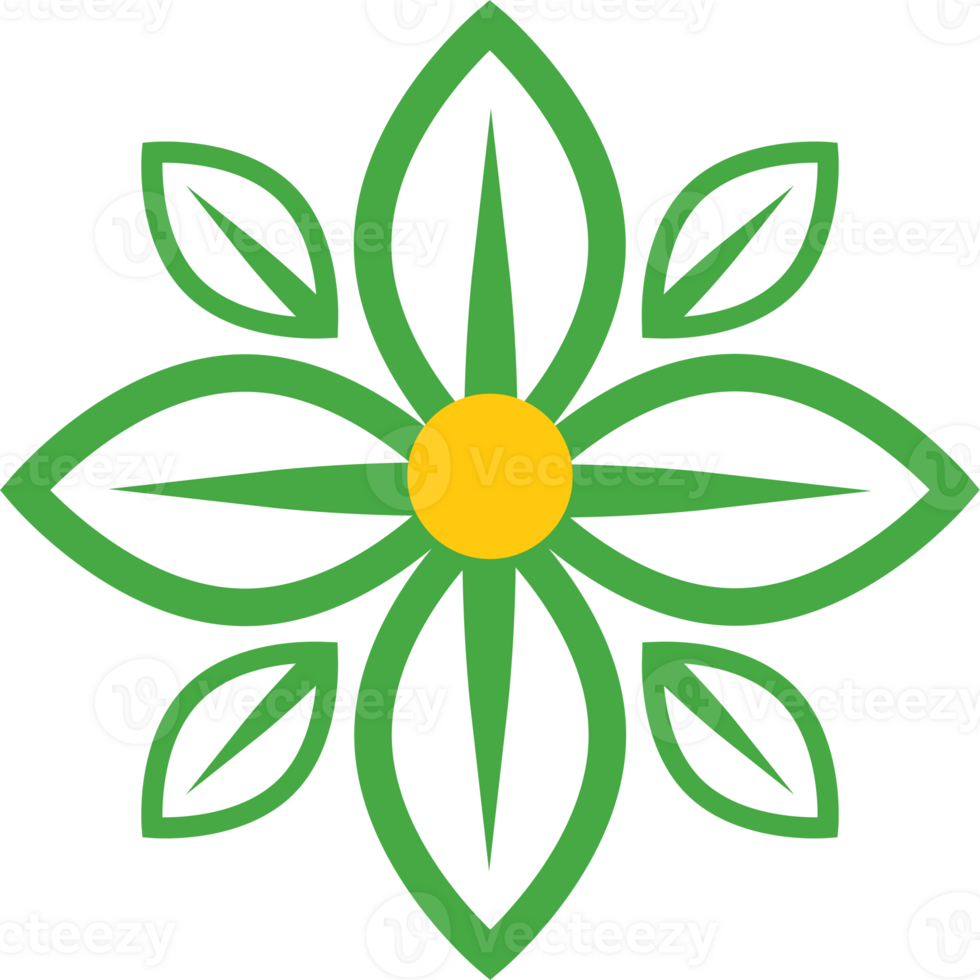 beautiful floral ornament png