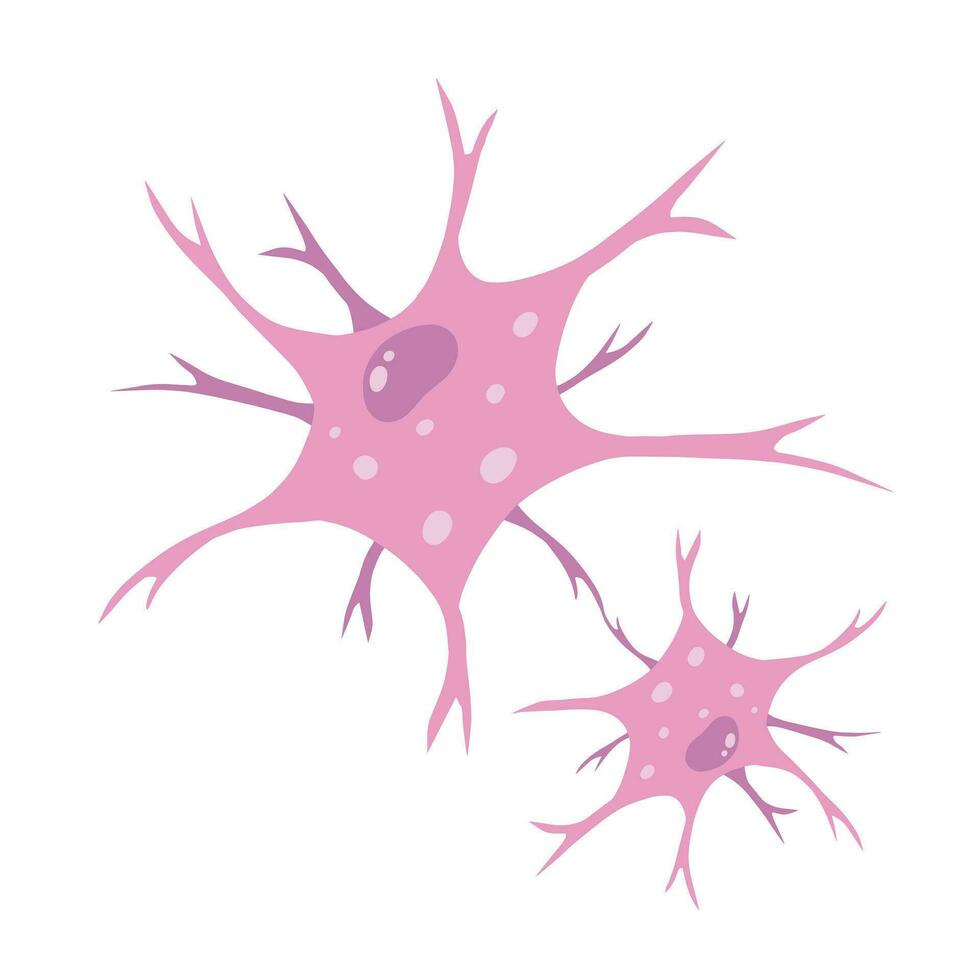 Neuron cell. Brain activity and dendrites. Membrane and the nucleus. Medical Concept of memory and connection. Educational illustration isolated on white vector