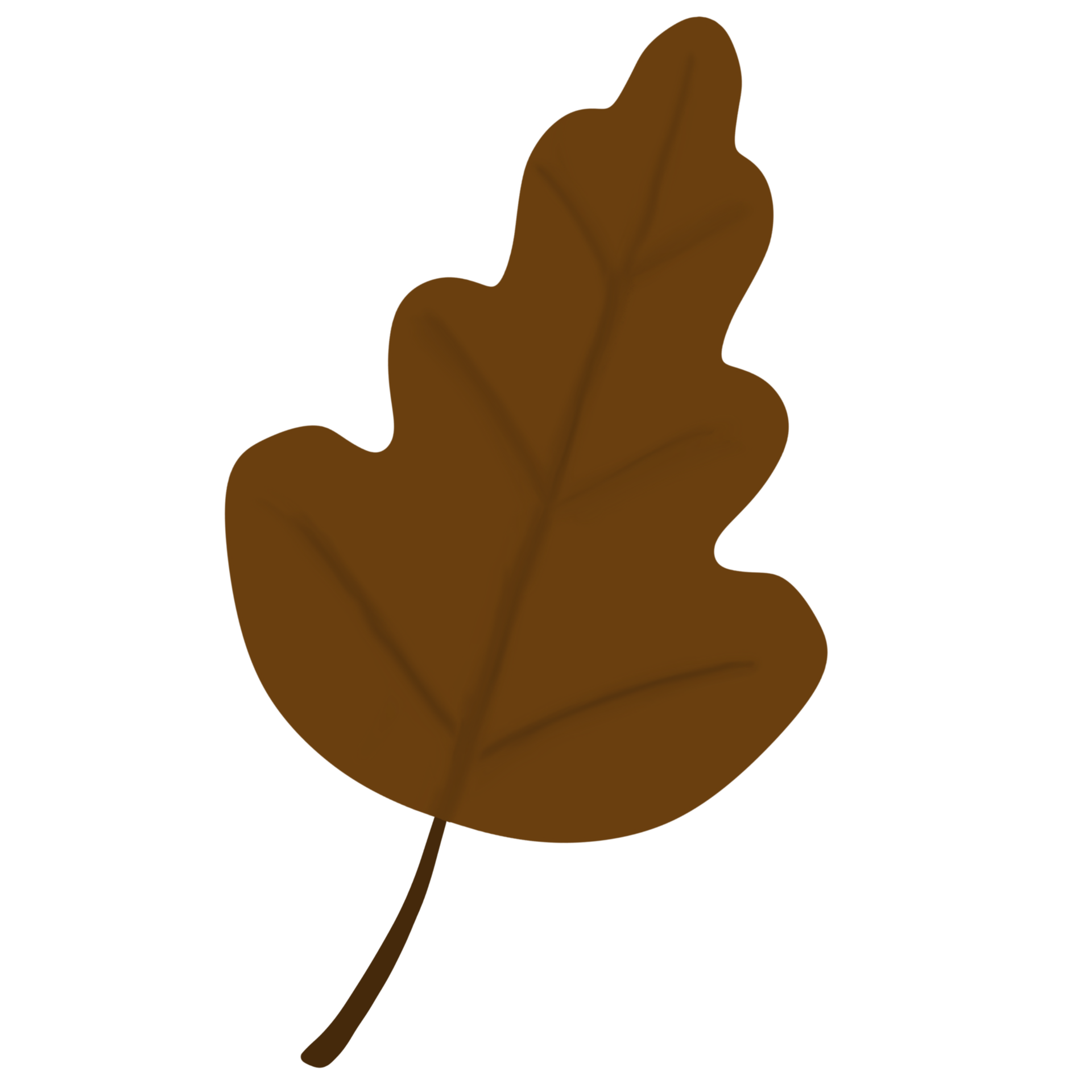 clipart Oak leaves, autumn leaves 33530174 PNG
