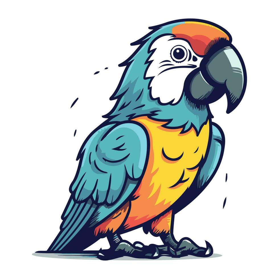Parrot vector illustration isolated on a white background. Cartoon parrot.