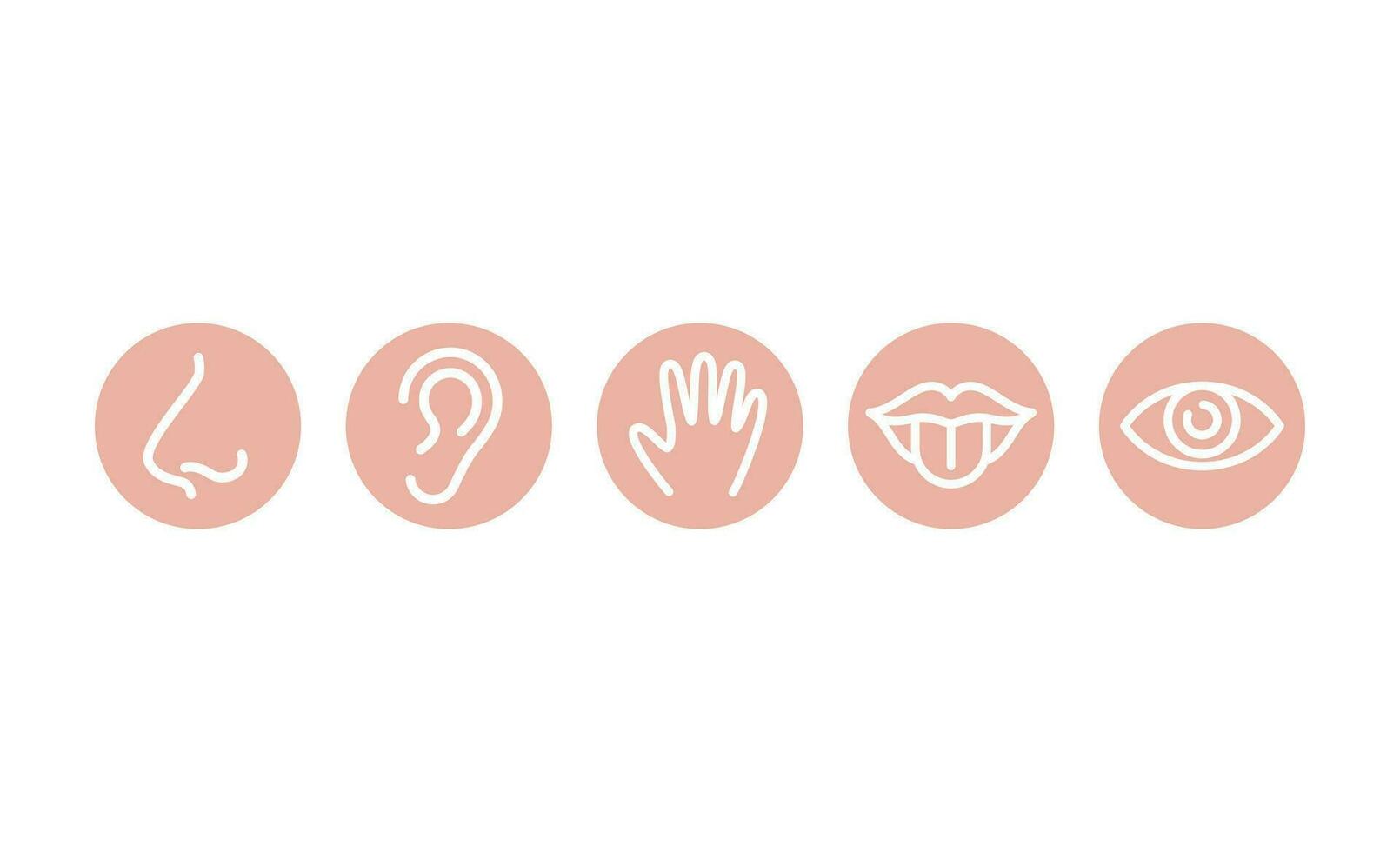 Five senses, sensory organs circle colorful icons. Smell, taste and nose, mouth and eye vector icon set. Editable stroke line.