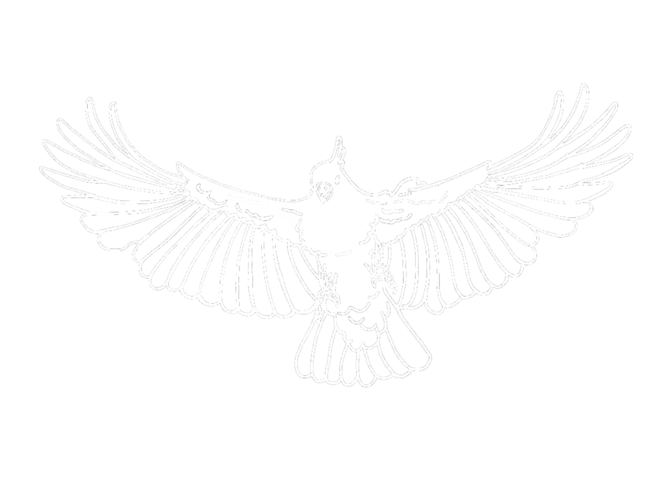 illustration of a Parrot , Cockatoo , Kakatua - white line art png