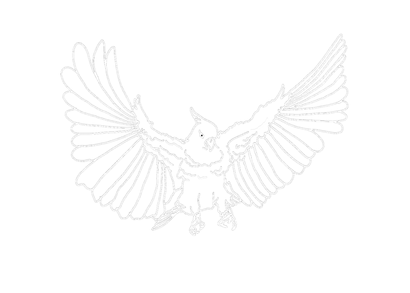 illustration of a Parrot , Cockatoo , Kakatua - white line art png
