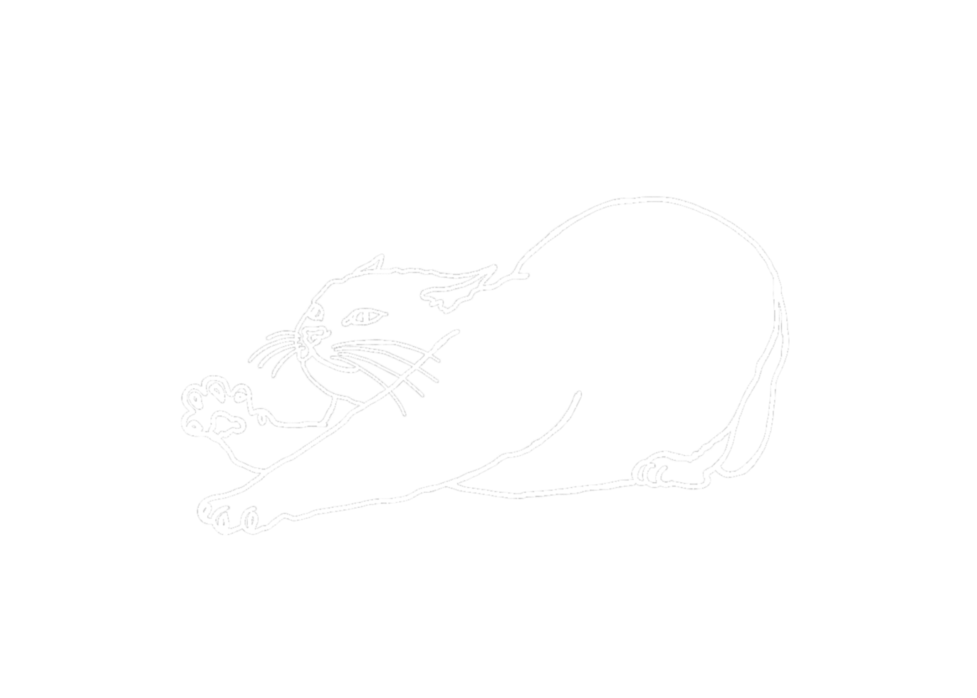Animal - Adorable Cat, Kitten, Kitty Illustration - white line art png