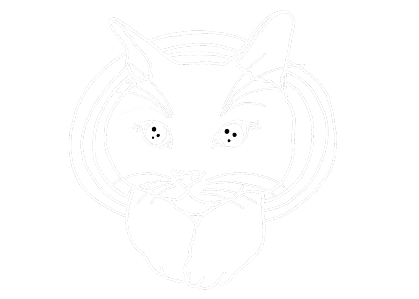 Animal - Adorable Cat, Kitten, Kitty Illustration - white line art png
