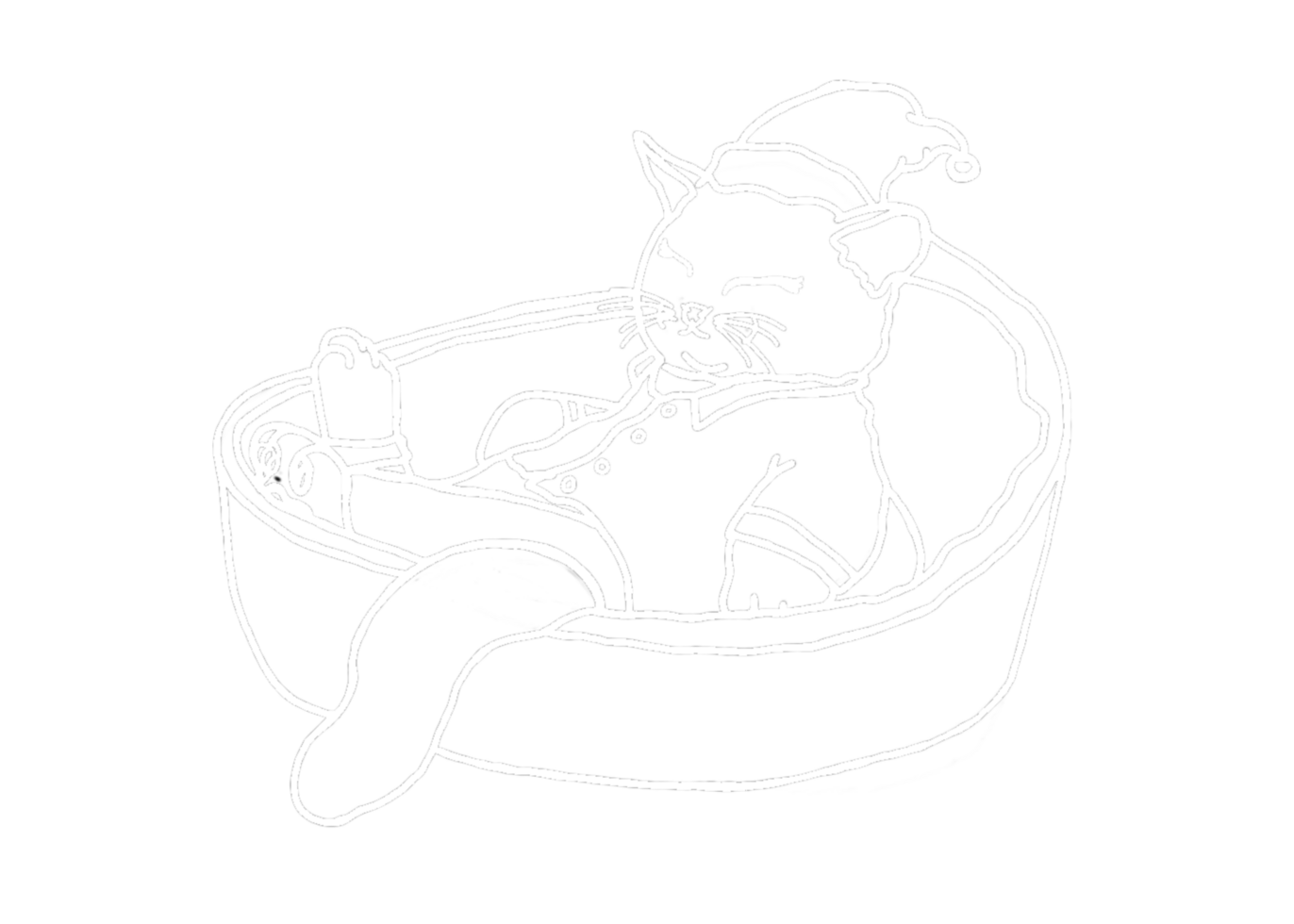 Animal - Adorable Cat, Kitten, Kitty Illustration - white line art png