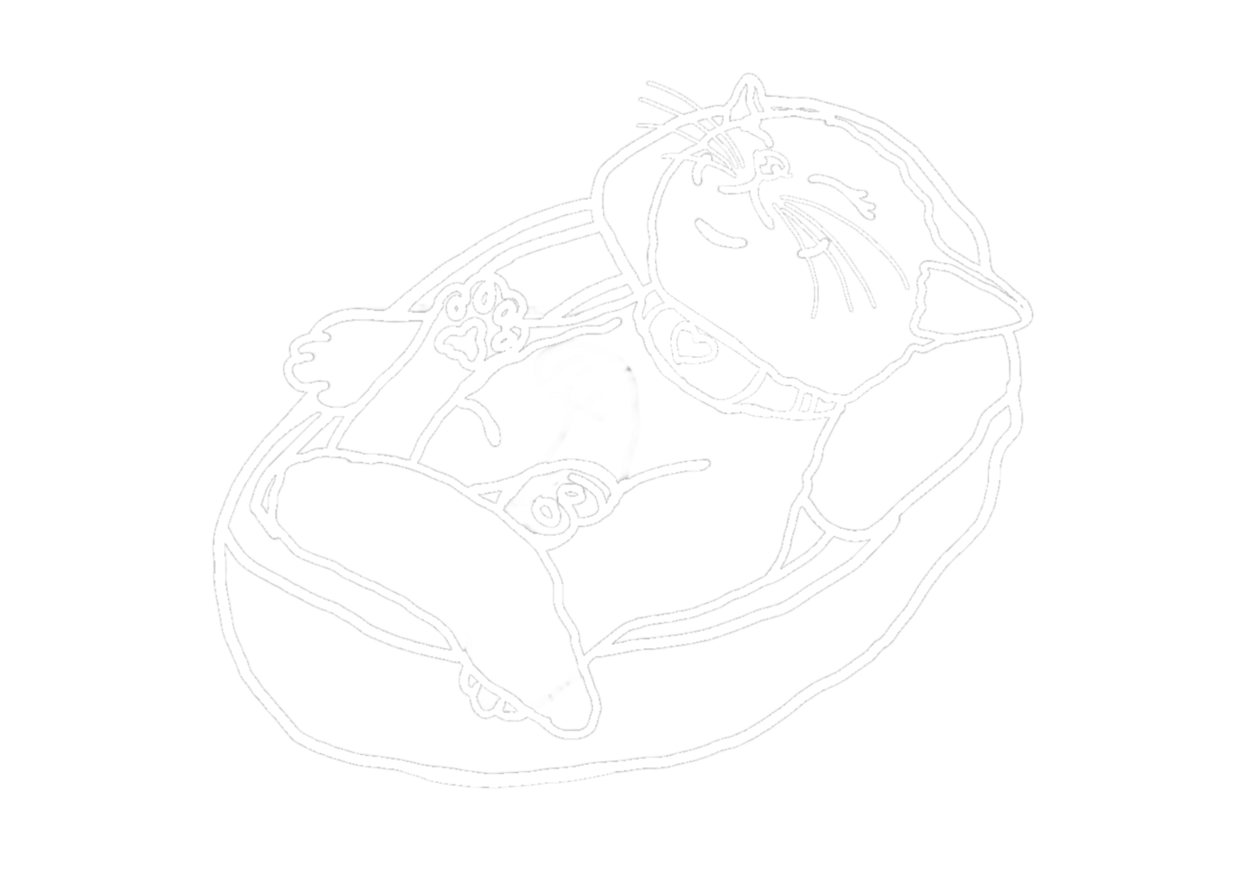Animal - Adorable Cat, Kitten, Kitty Illustration - white line art png