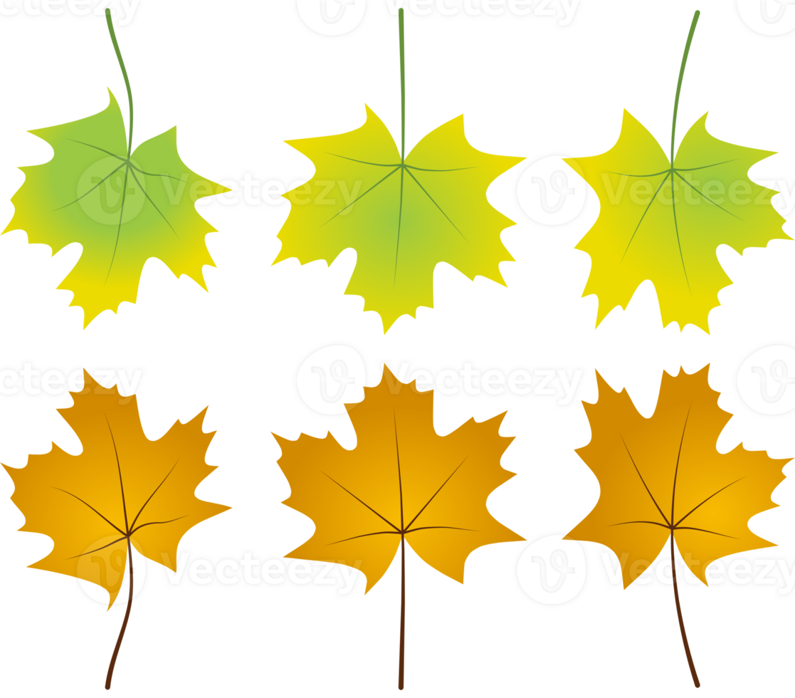 herfst gedaald bladeren gebladerte grafisch kleuren goud oranje groen png