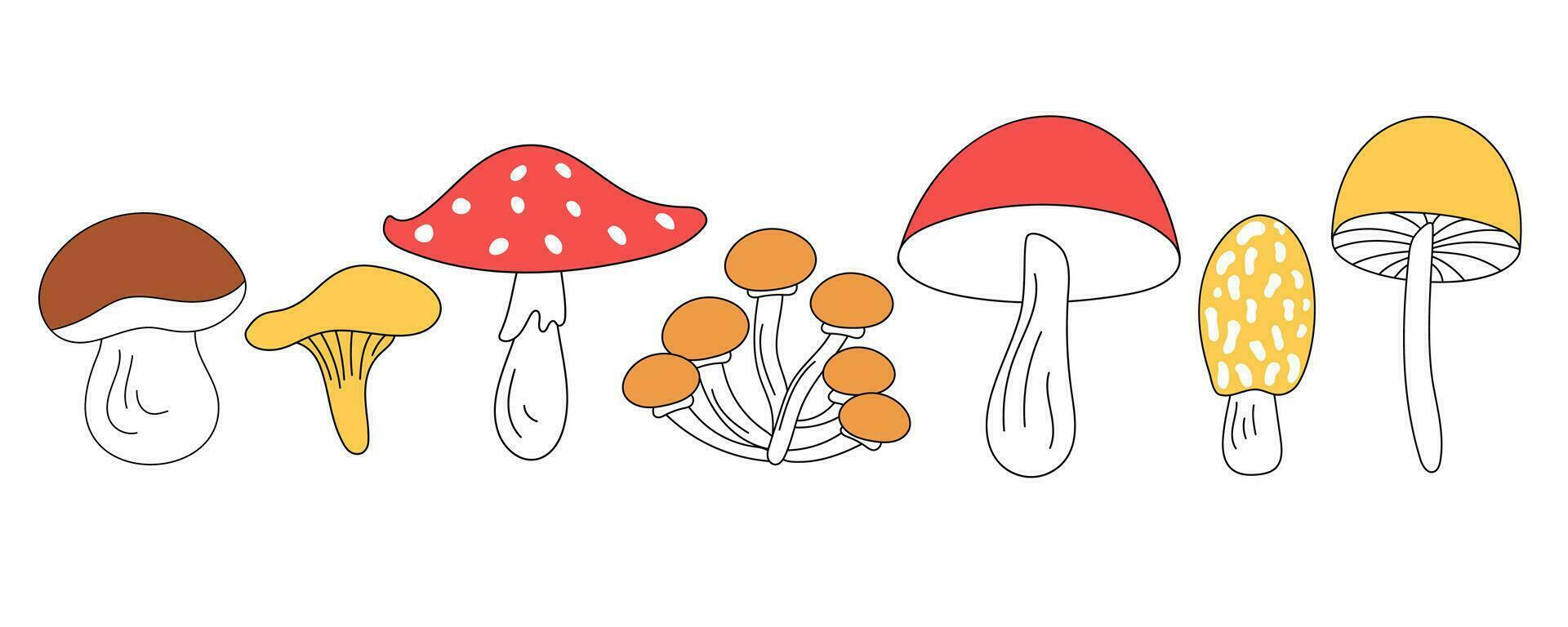 Porcini mushroom, chanterelle, honey fungus, fly agaric, edible and inedible mushrooms for various autumn and culinary designs. Set of cute mushrooms in vector doodle style, isolated.