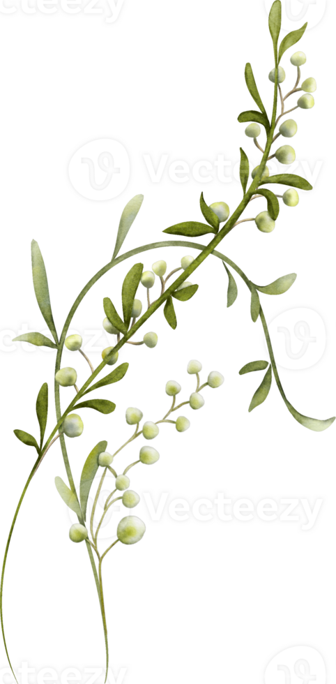 Watercolor Bouquets of Leaves Elements png