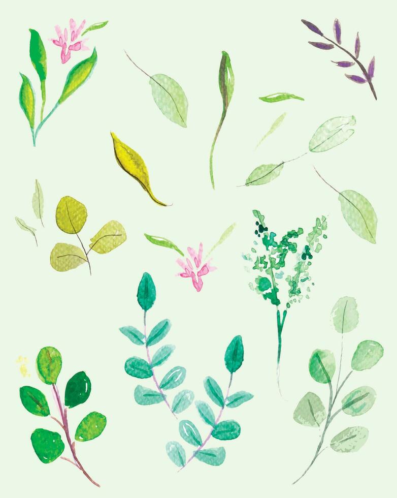 Watercolor various spring leaves and flowers, isolated, vector. vector