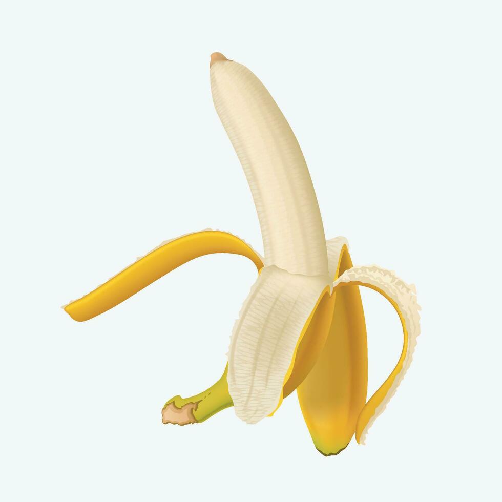 picture of banana vector