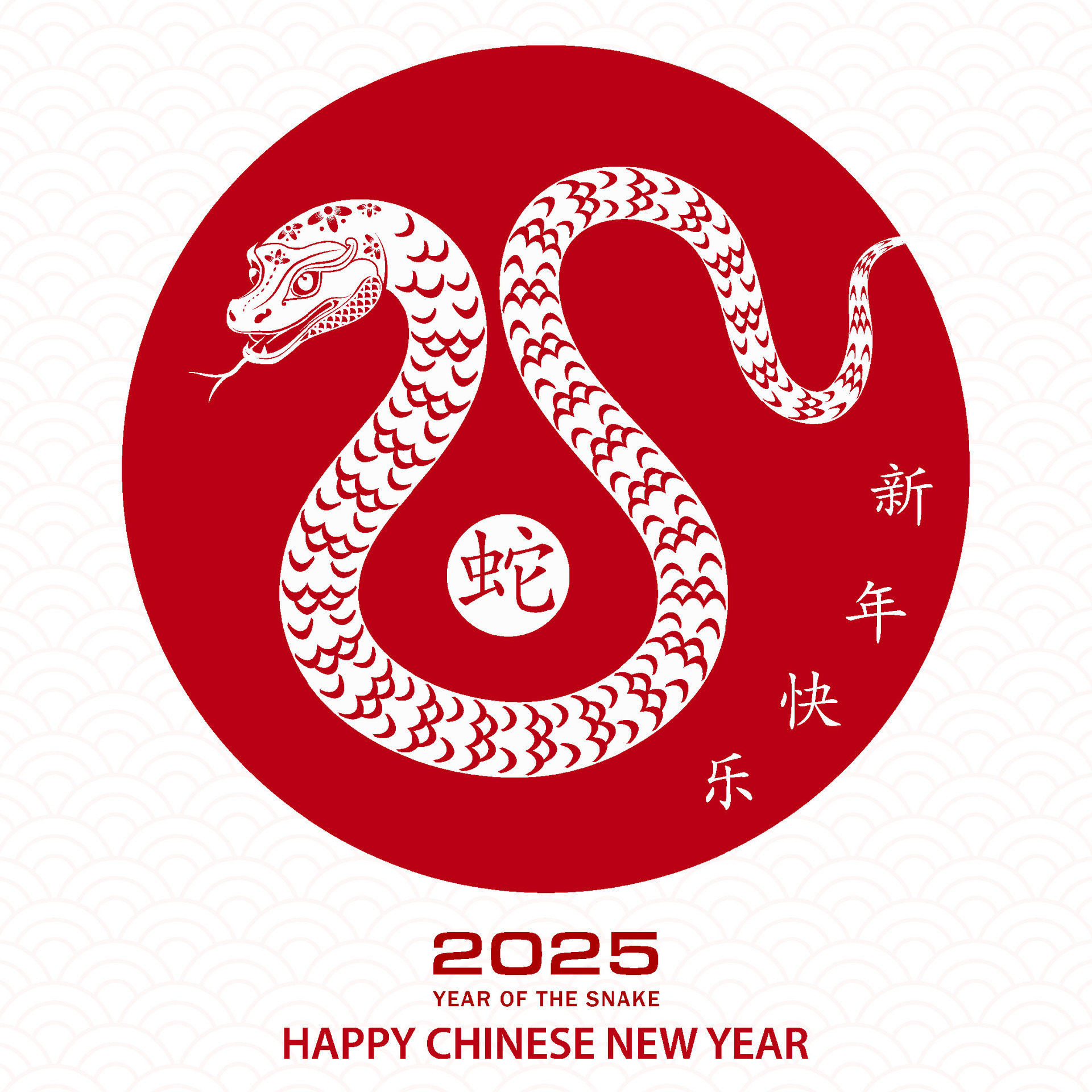 Happy Chinese new year 2025 Zodiac sign, year of the Snake, with red
