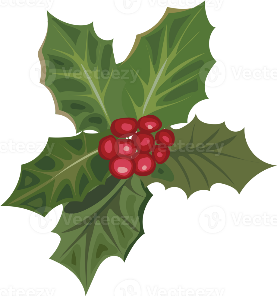 Christmas poinsettias flower. png