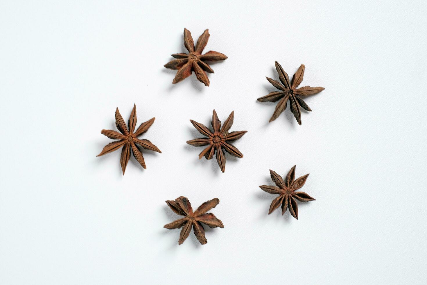six star anise bunga lawang Illicium verum kembang lawang with white background top view photo