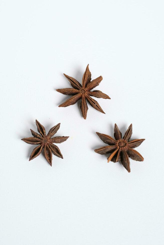 three star anise bunga lawang Illicium verum kembang lawang pekak with white background top view photo