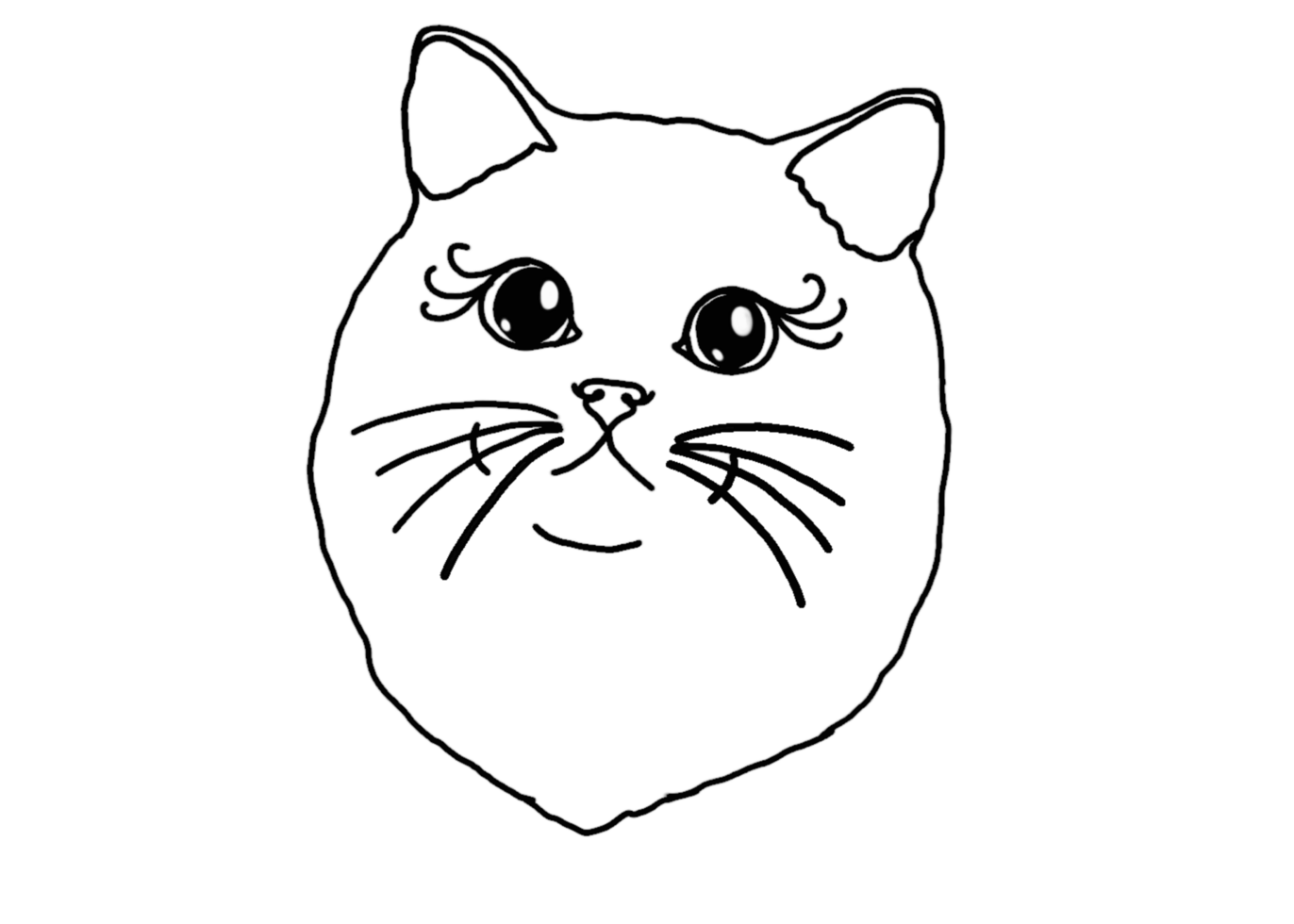 Animal - Adorable Cat, Kitten, Kitty Illustration png