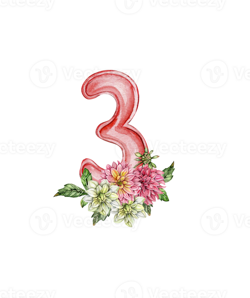 Watercolor hand drawn numbers and flowers composition. png