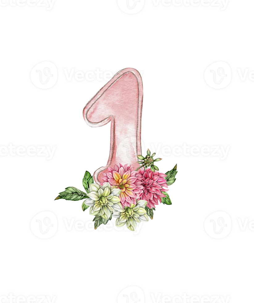 Watercolor hand drawn numbers and flowers composition. png