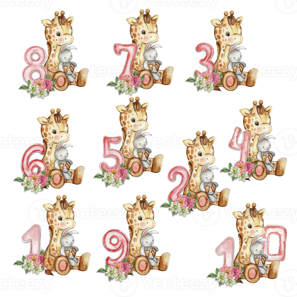 Watercolor hand drawn small baby giraffe with dahlia flowers and numbers composition. png