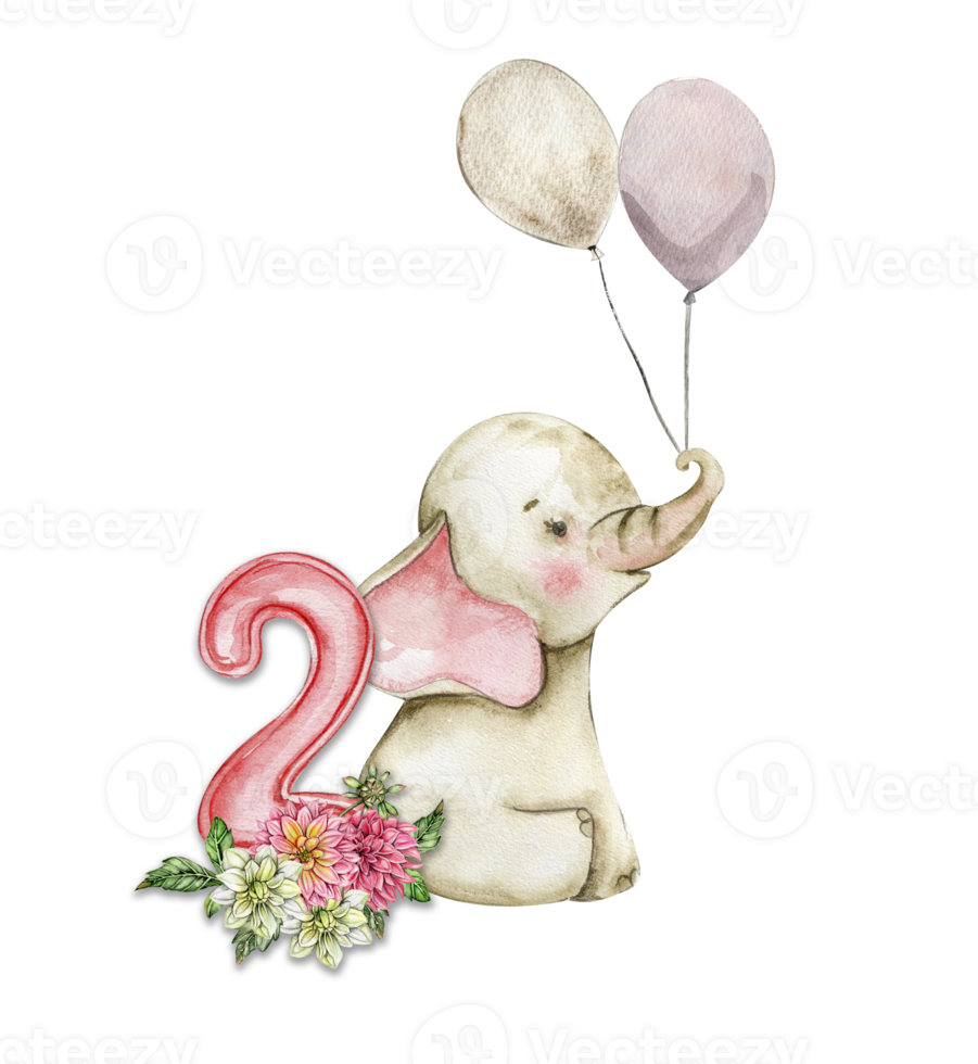 Watercolor hand drawn small baby elephant with dahlia flowers and numbers composition. png
