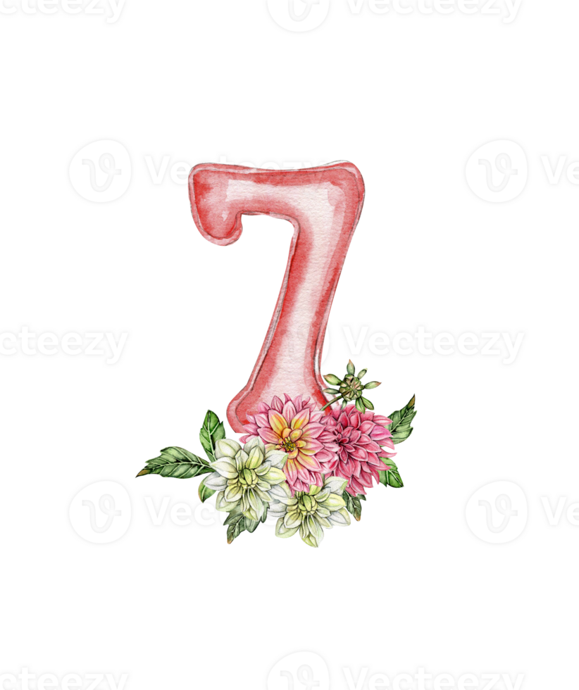 Watercolor hand drawn numbers and flowers composition. png
