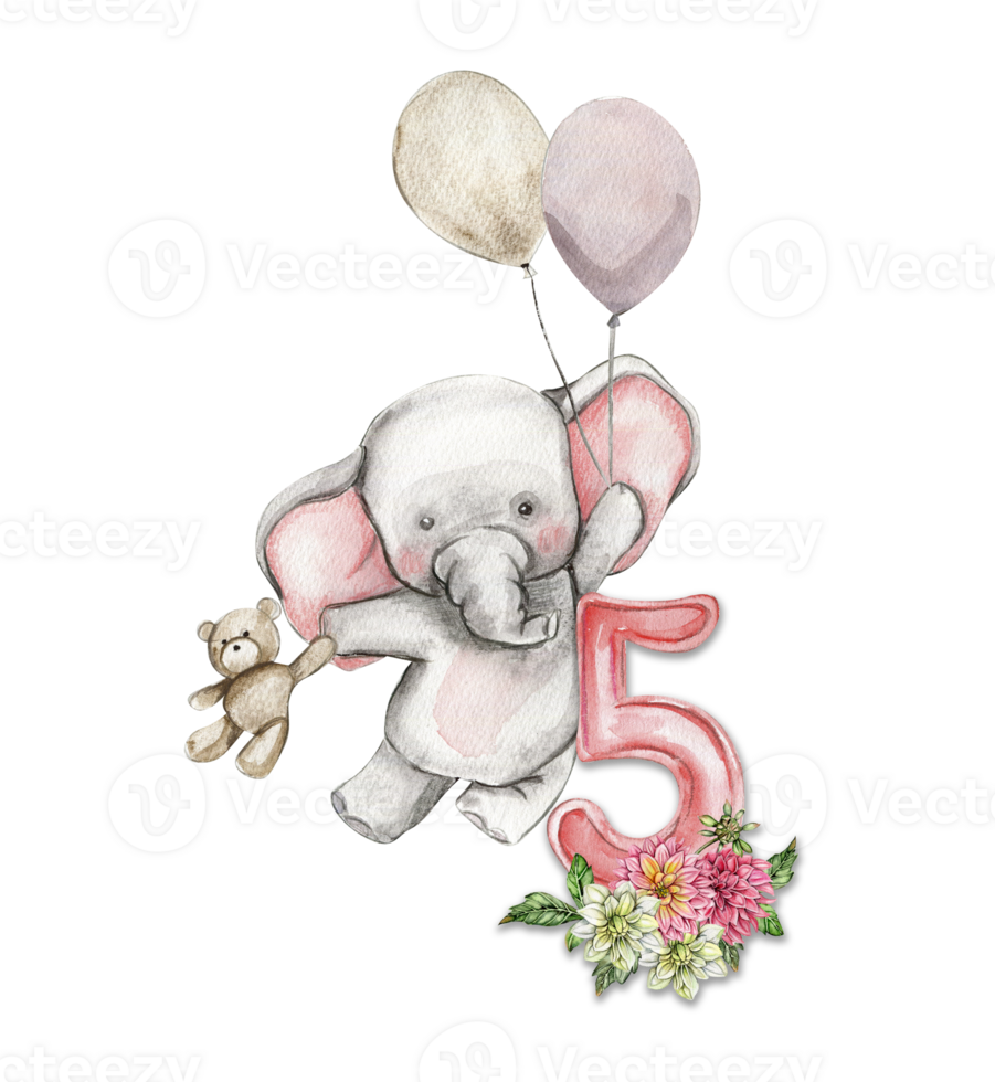 Watercolor hand drawn small baby elephant with dahlia flowers and numbers composition. png