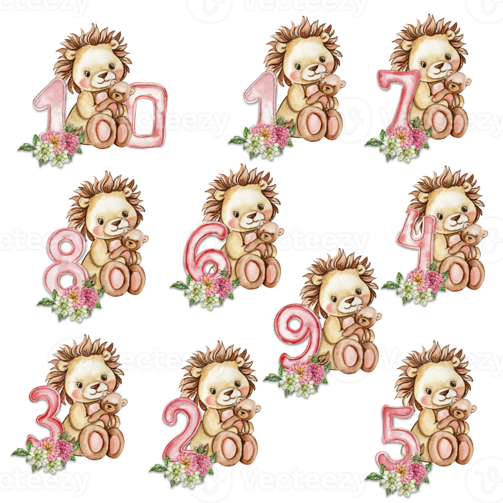 Watercolor hand drawn small baby lion with dahlia flowers and numbers composition. png