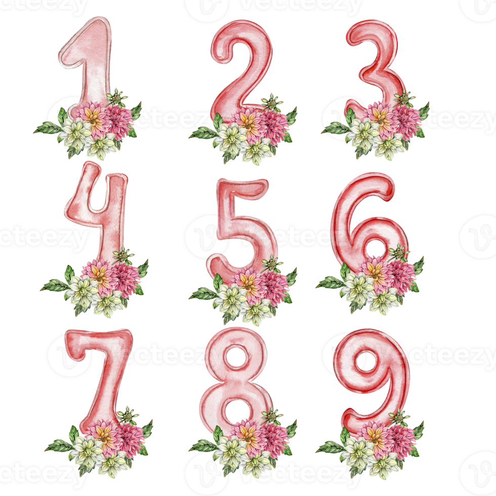 Watercolor hand drawn numbers and flowers composition. png