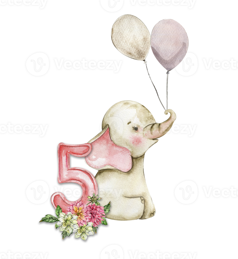 Watercolor hand drawn small baby elephant with dahlia flowers and numbers composition. png