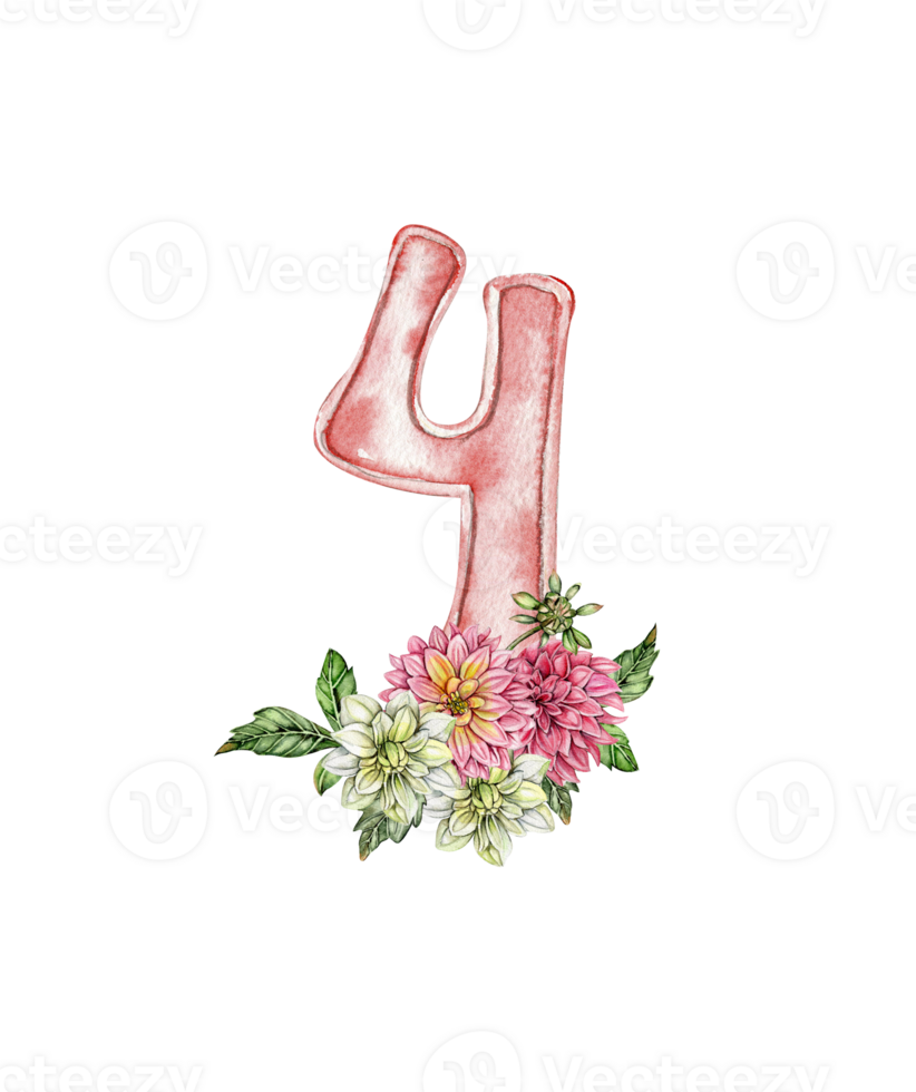 Watercolor hand drawn numbers and flowers composition. png