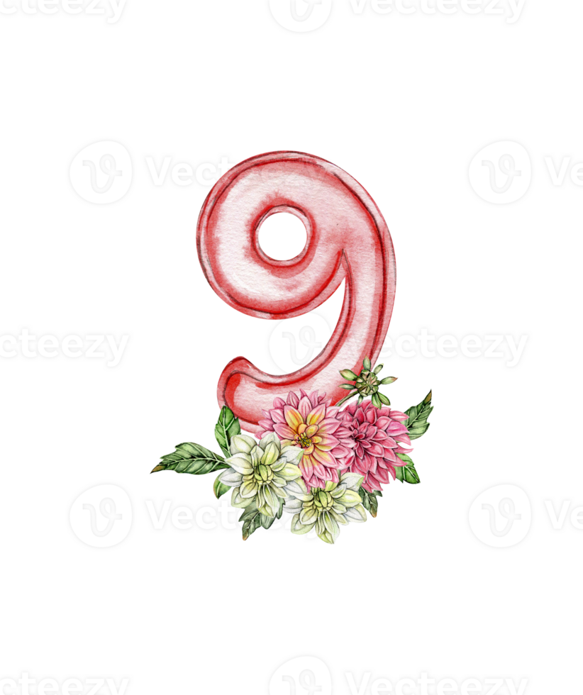 Watercolor hand drawn numbers and flowers composition. png