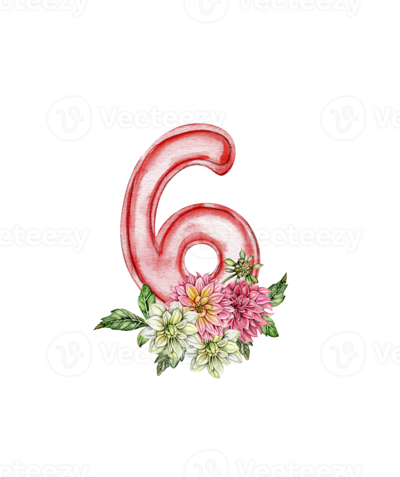 Watercolor hand drawn numbers and flowers composition. png