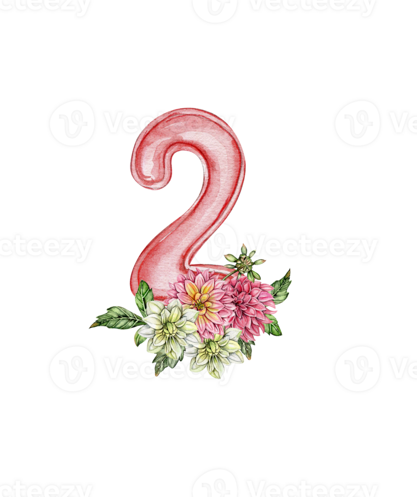 Watercolor hand drawn numbers and flowers composition. png